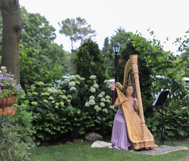 Gallery photo 2 of Bella the Harpist
