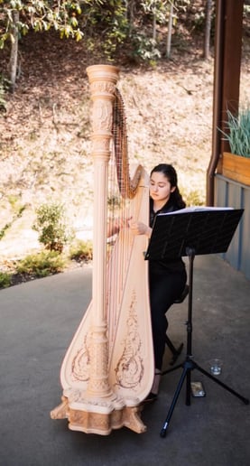 Gallery photo 3 of Bella the Harpist
