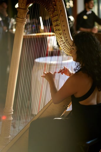 Gallery photo 5 of Bella the Harpist