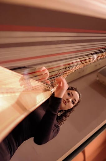 Gallery photo 8 of Bella the Harpist