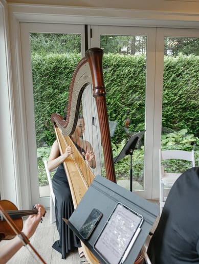 Gallery photo 9 of Bella the Harpist