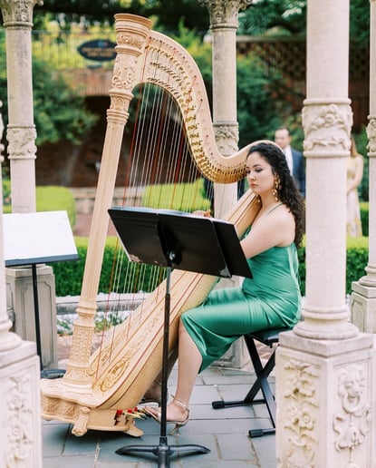 Gallery photo 10 of Bella the Harpist