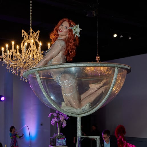 Gallery photo 22 of BellaDonna Dance