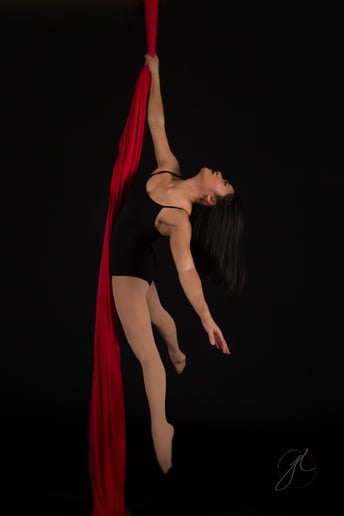 Gallery photo 3 of Belle Aerial