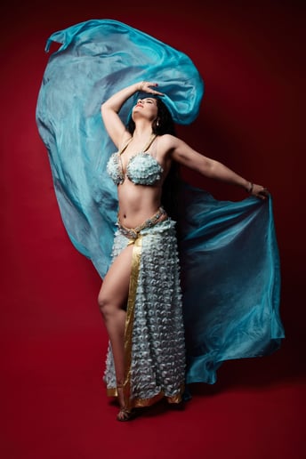 Gallery photo 3 of Belly Dance Dreams Midwest