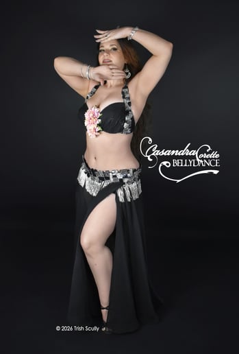 Gallery photo 2 of Belly Dance Dreams Midwest