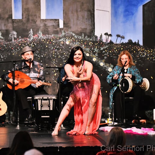 Gallery photo 6 of Belly Dancer Edemia