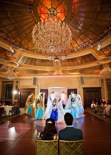 Gallery photo 2 of Vanessa Bellydance