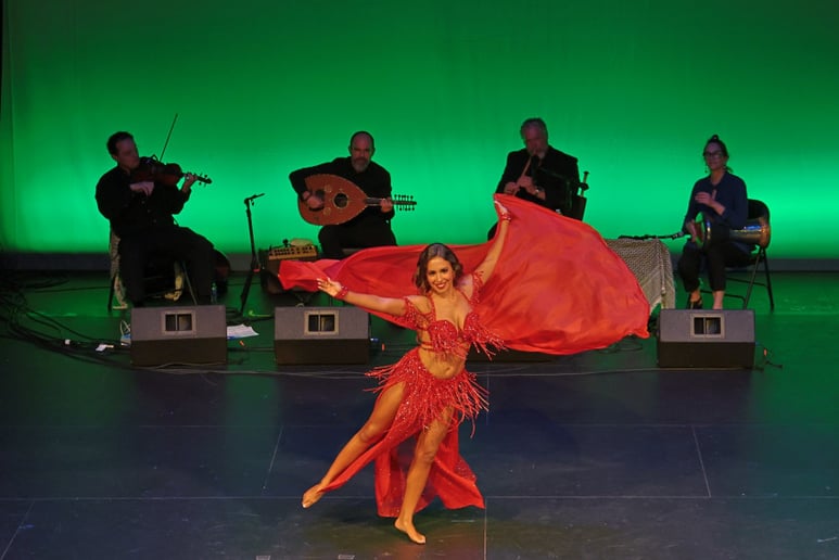 Gallery photo 9 of Bellydance Entertainment by Marina Viola