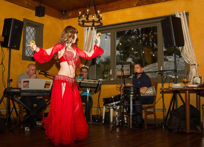 Gallery photo 10 of Soraya Jamal Bellydance Show