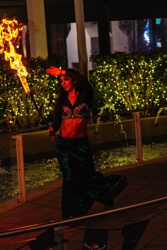 Gallery photo 4 of Bellydance show