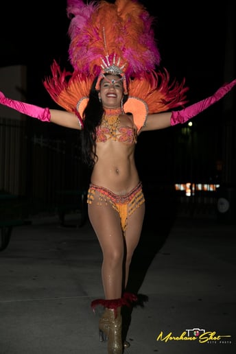 Gallery photo 4 of Bellydancer Entertainment