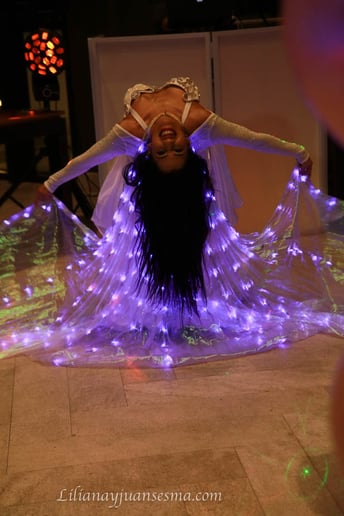 Gallery photo 9 of Bellydancer Entertainment