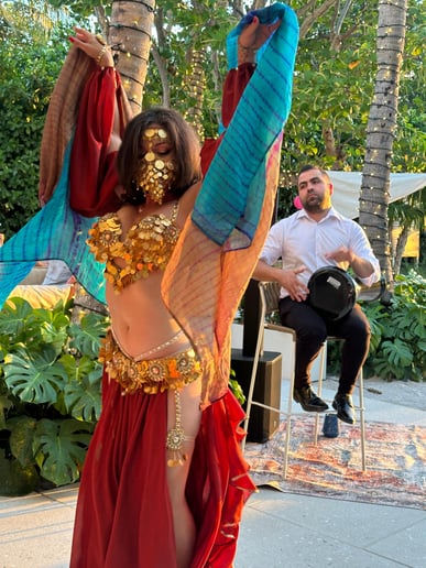 Gallery photo 5 of Professional Bellydance Show