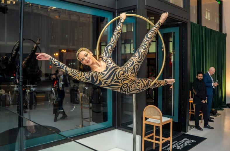 Gallery photo 2 of Shelbalinaa Aerial Entertainment