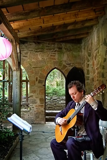 Gallery photo 3 of Ben Sherman Classical Guitar
