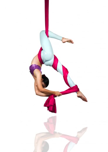 Gallery photo 8 of Circus Belle