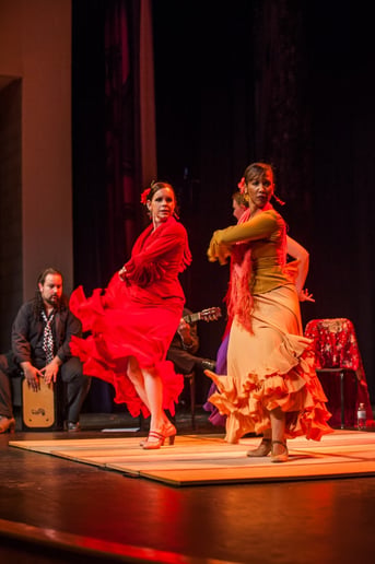 Gallery photo 5 of Berdolé Flamenco Production