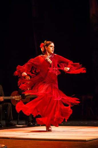 Gallery photo 7 of Berdolé Flamenco Production