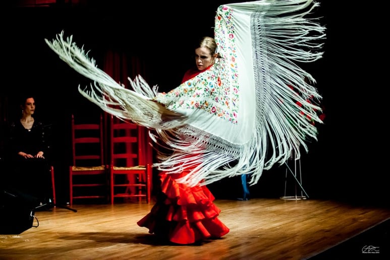 Gallery photo 8 of Berdolé Flamenco Production