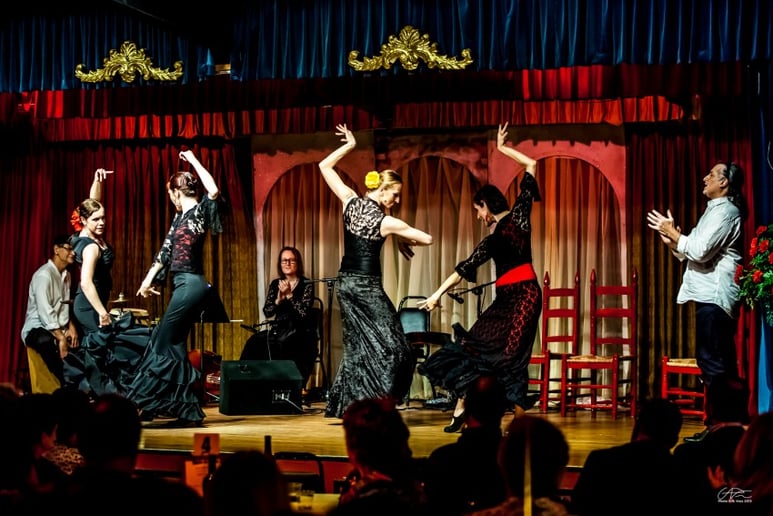Gallery photo 9 of Berdolé Flamenco Production