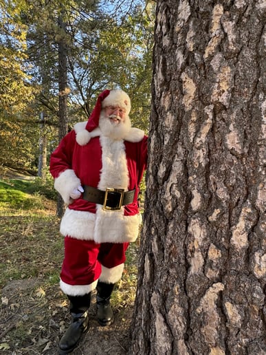 Gallery photo 9 of Bespoke Santa