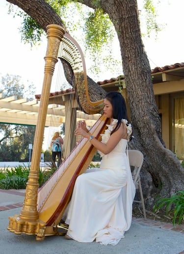 Gallery photo 1 of Bettina Harp