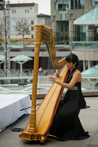 Gallery photo 3 of Bettina Harp