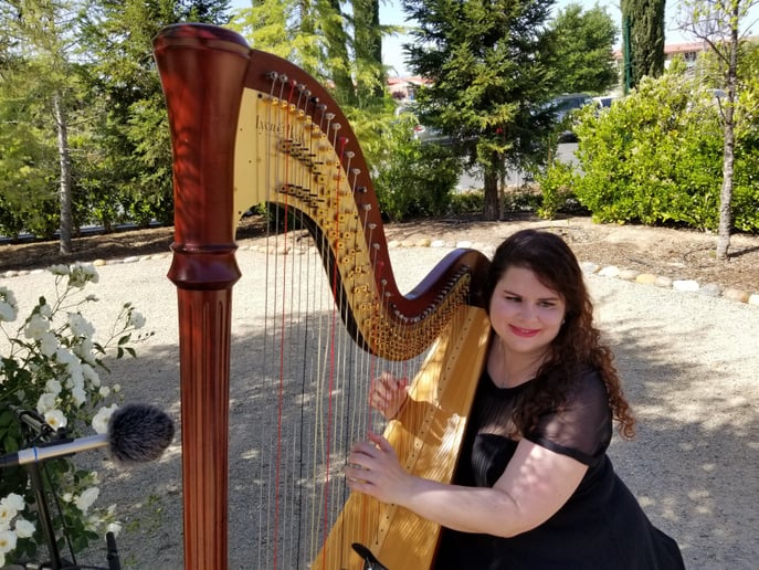 Gallery photo 4 of Beverly Arnold, Harpist