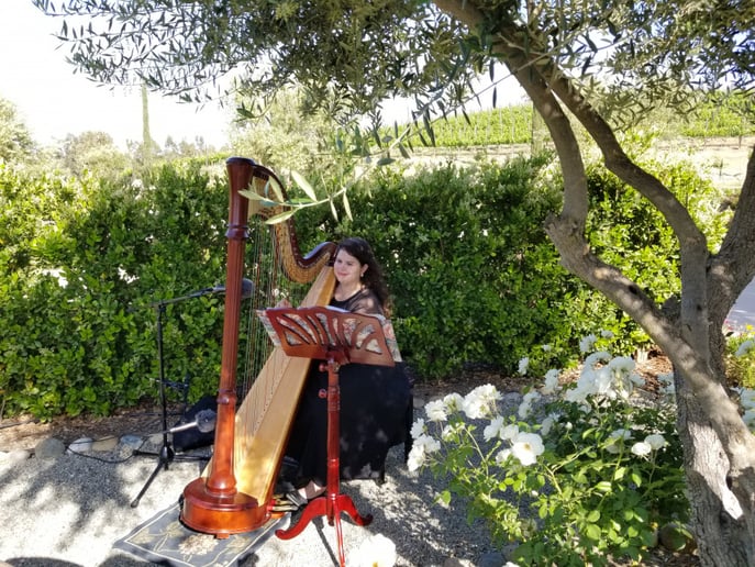 Gallery photo 5 of Beverly Arnold, Harpist