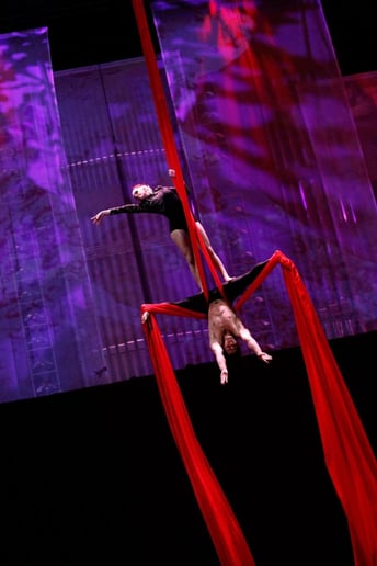 Gallery photo 5 of Beyond Wings