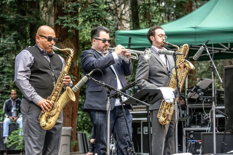 Gallery photo 12 of Big Blu Soul Revue