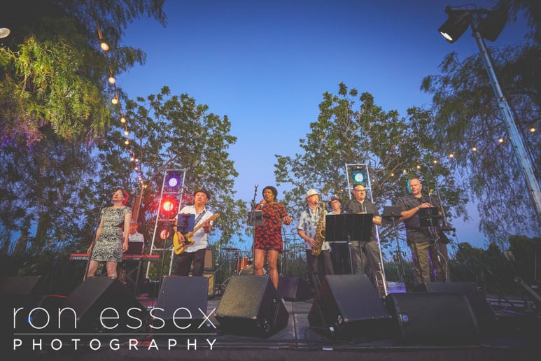 Gallery photo 1 of Big Blu Soul Revue