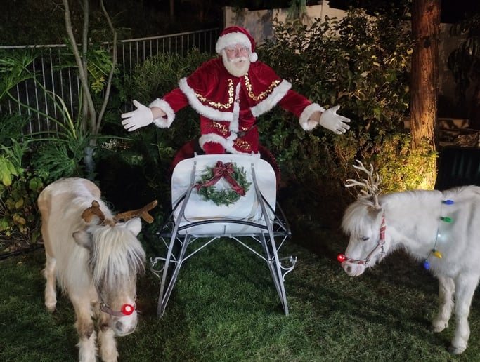 Gallery photo 2 of Big Jolly Santa