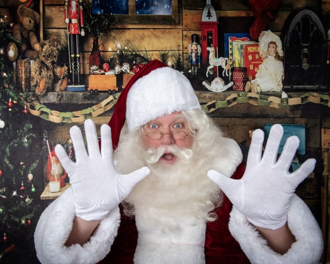 Gallery photo 4 of Big Santa Frank