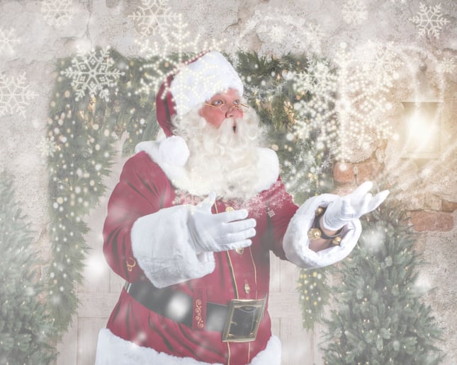 Gallery photo 8 of Big Santa Frank