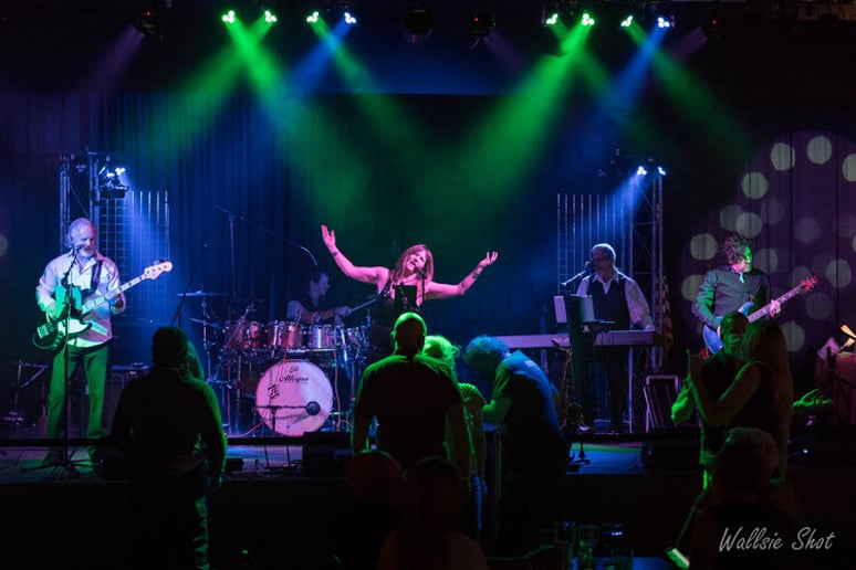 Gallery photo 10 of The Cliffhangers Band-PDX