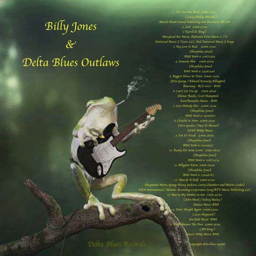 Gallery photo 5 of Delta Blues Outlaws