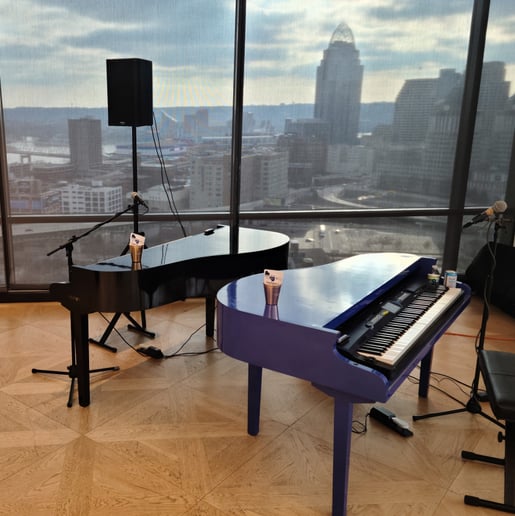Gallery photo 4 of Black and Blue Dueling Pianos