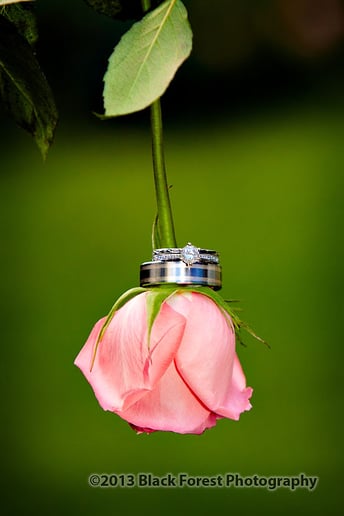 Gallery photo 3 of Black Forest Photography