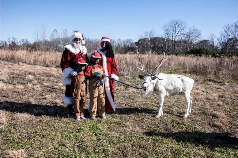 Gallery photo 2 of Cocoa Santa