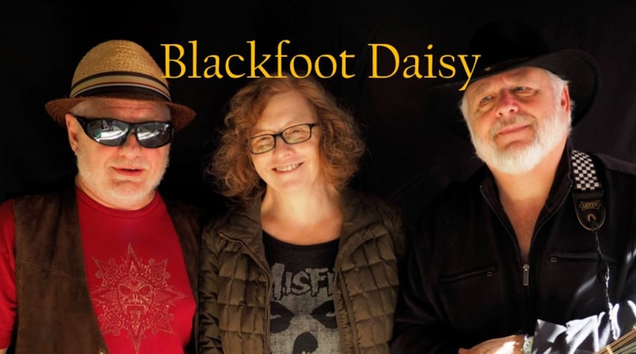 Gallery photo 3 of Blackfoot Daisy