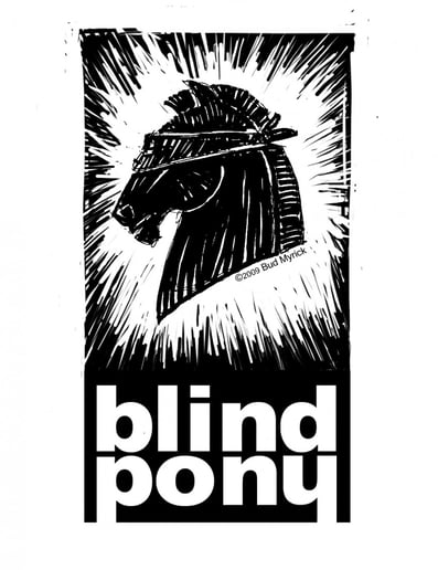 Gallery photo 4 of Blind Pony