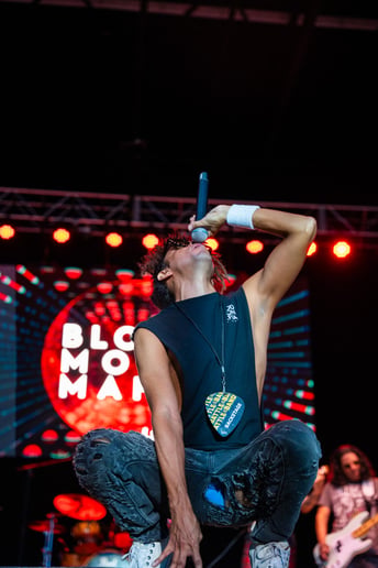 Gallery photo 4 of Blood Moon Mafia (bmm)