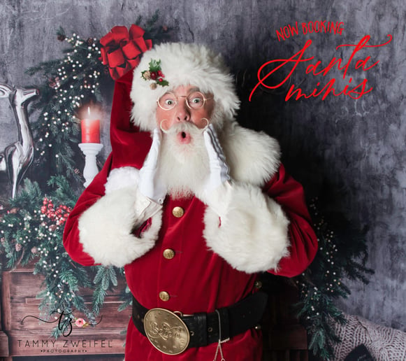Gallery photo 6 of Blue Angel Santa Claus