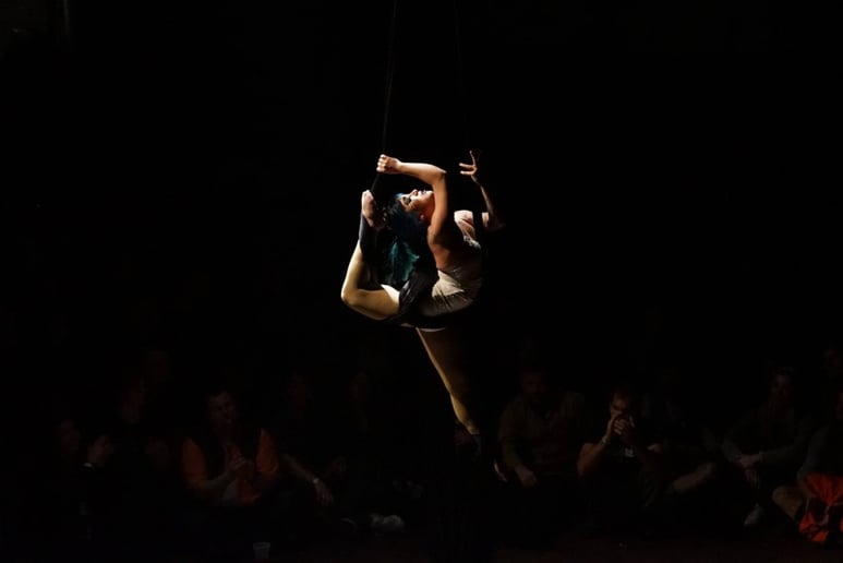 Gallery photo 7 of Mellionaire, Variety Performer