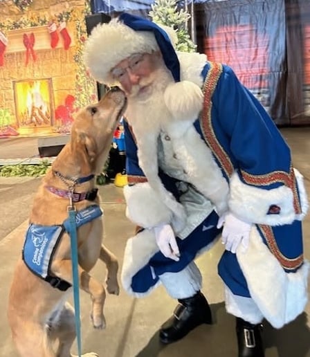 Gallery photo 6 of Blue Santa Jim