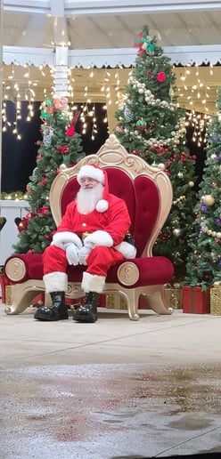 Gallery photo 1 of Blue Springs Santa