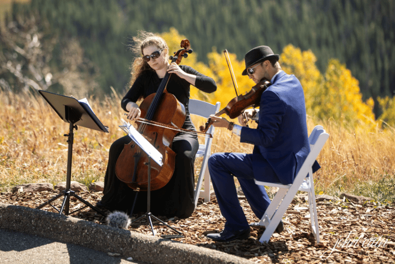 Gallery photo 1 of Blue Violin
