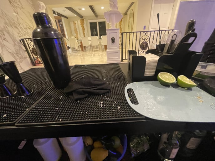 Gallery photo 7 of BlueJay Bartending